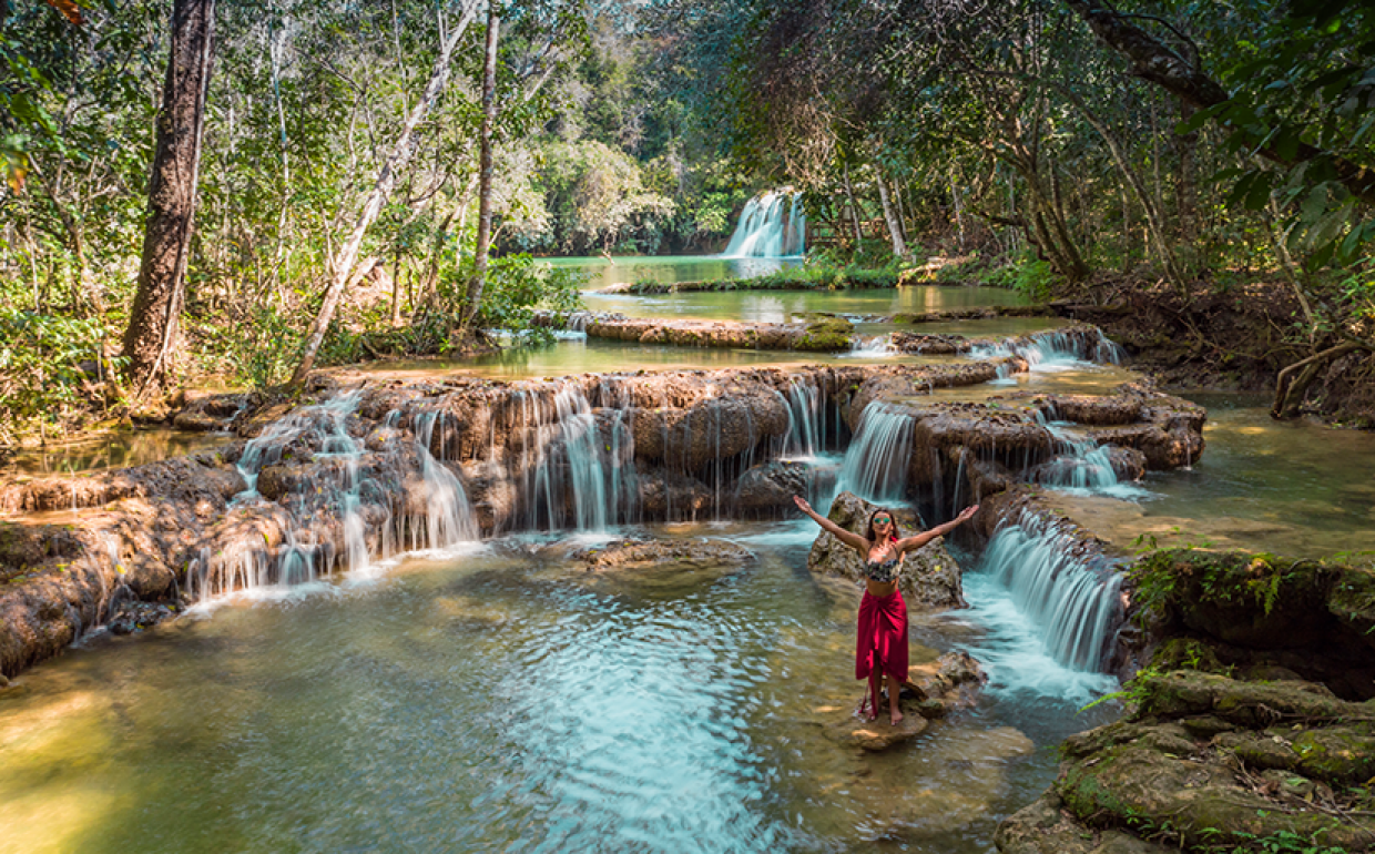 10 Músicas para se conectar com a Natureza Brasileira - Blog da Ambiental  Turismo