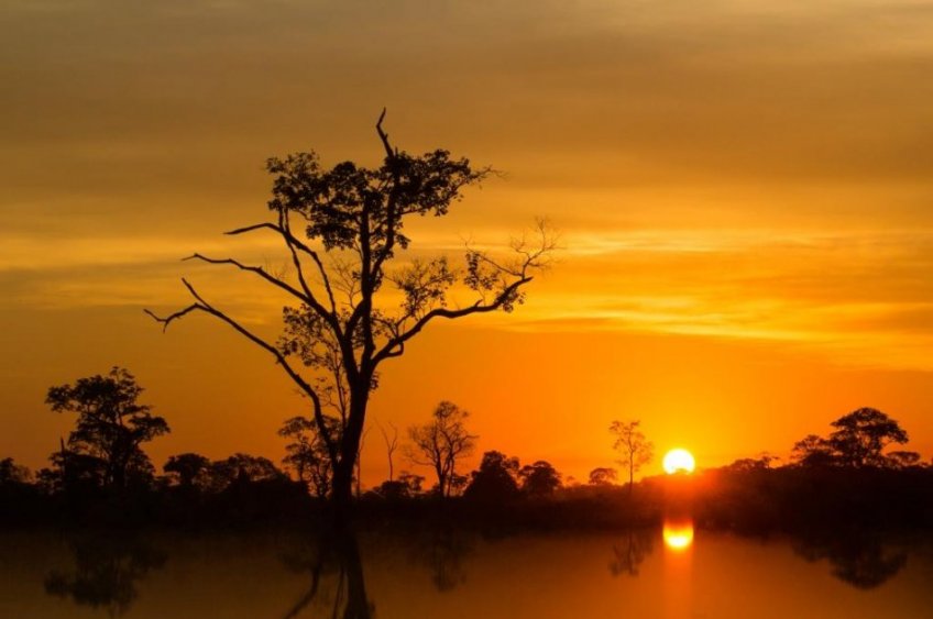 Por do Sol Pantanal